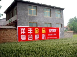 镇平如何让墙体广告展现最大化效果