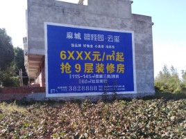 镇平品牌公司青睐的墙体广告